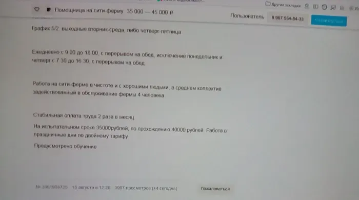 HydroPony ферма микро-зелени